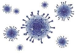 Fotokataliza a wirusy